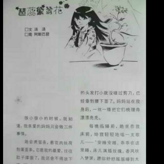 一个感人的故事《琶蕊黛鸶花》