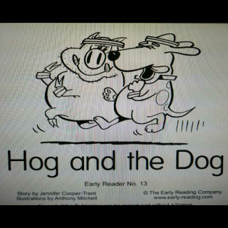 Day6-Hog and the dog