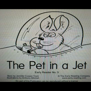 Day17-The pet in a jet