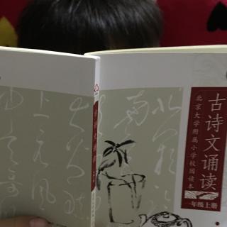 续续读诗1：画