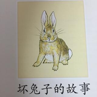 《坏兔子的故事》