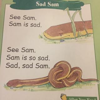 自然拼读S小阅读Sad Sam