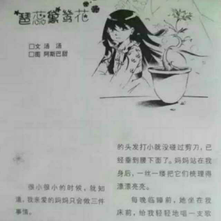 一个感人的故事《琶蕊黛鸶花》三