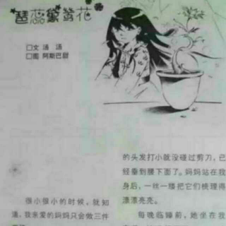 一个感人的故事《琶蕊黛鸶花》五