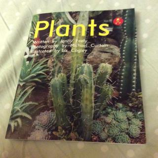 Plants/Alphakids level  （5）