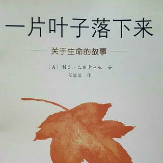 哈尔滨百艺童画~《一片叶子落下来》