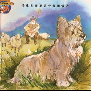 Greyfriars Bobby (忠诚的小狗ancha)