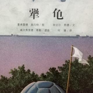 犟龟（下）