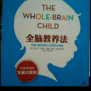 附录B 各年龄段儿童全脑教养指南(0～3岁和3～6岁)