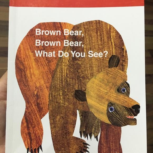brown brown bear what do you see