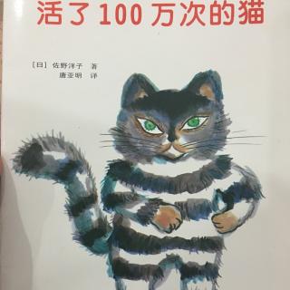 活了100万次的🐱-20160806