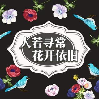 没有仪式感的人生   永远都会灰头土脸     文/肖卓