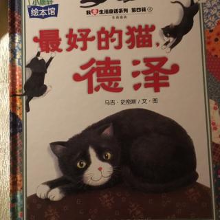 最好的猫德泽