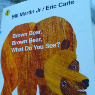 Brown bear 讲解