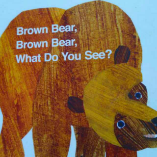 可可读Brown Bear