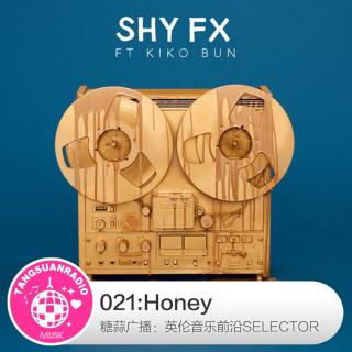 糖蒜爱音乐之The Selector：Honey