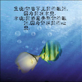 鱼和水的爱情故事／楠Ger