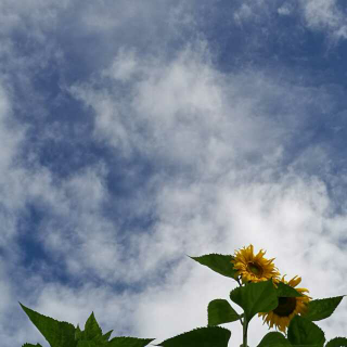 親子教育第四講:過多的干涉，帶來孩子的無奈