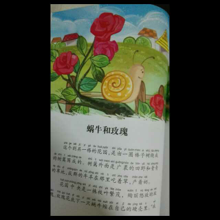 木兰一家的故事书包《蜗牛和玫瑰》