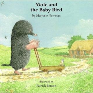 Mole and the baby bird