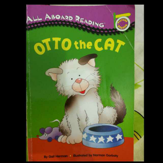 Otto the Cat