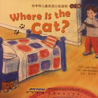 Where Is The Cat？