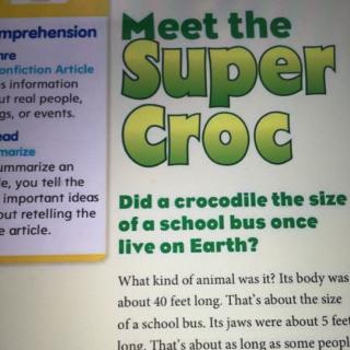 Meet the super croc