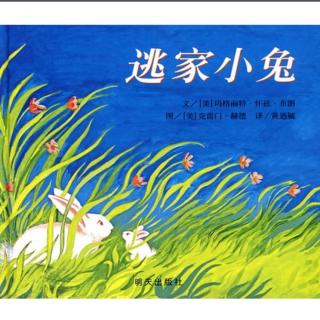 06.木颜笑讲故事—《逃家小兔》