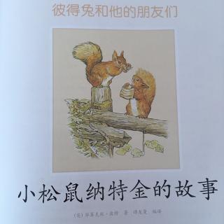 《小松鼠纳特金的故事》