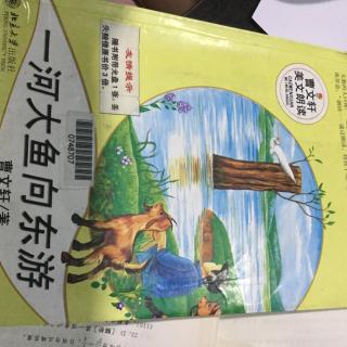 一条大鱼向东游