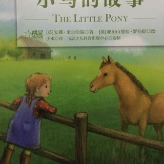 028小马的故事【第一套自然科学启蒙书】