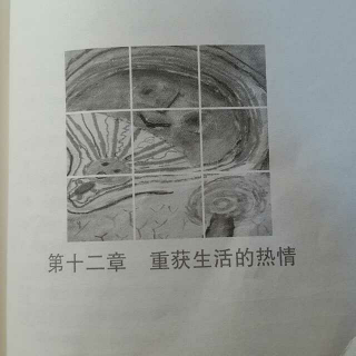 非暴力沟通第十二章①