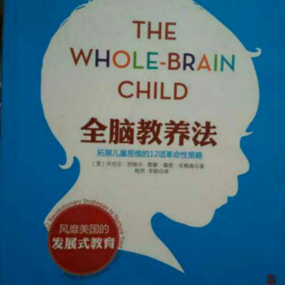 附录B 各年龄段儿童全脑教养指南(6～9岁和9～12岁)