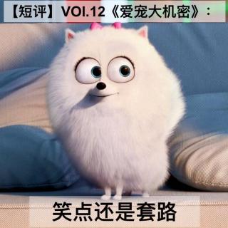 【短评】vol.12《爱宠大机密》：笑点还是套路 