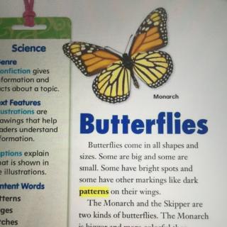 Butterflies