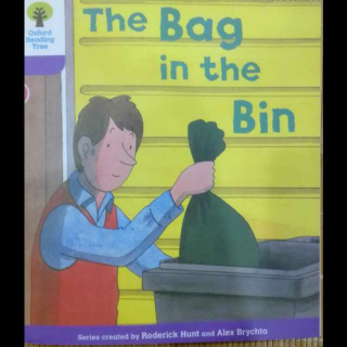 The Bag in the  Bin