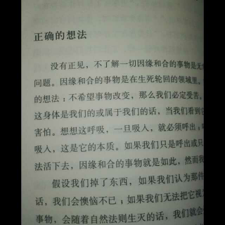 阿姜·查《这个世界的真相》正确的想法