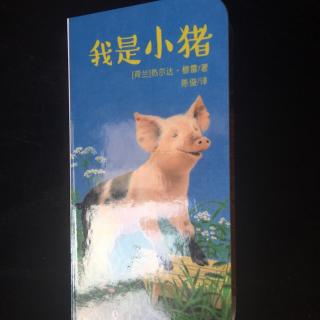 我是小猪