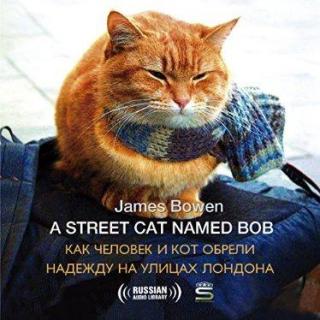 Issue 22  A Street Cat Named Bob