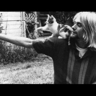 斑马爱音乐VOL09：Kurt Cobain 科特·柯本