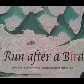 Run after a Bird