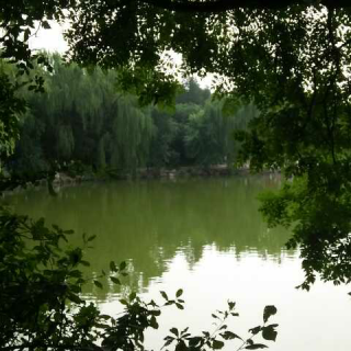 在未名湖等待下一场落雨