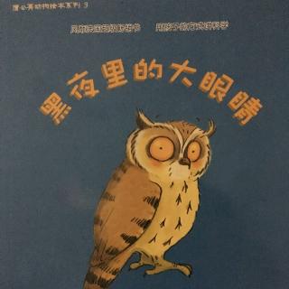 黑夜里的大眼睛