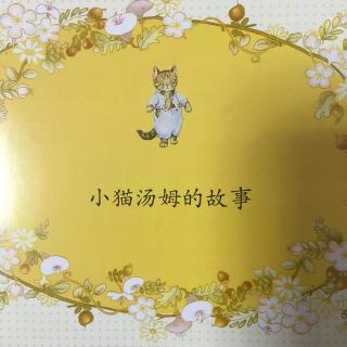 《小猫🐱汤姆的故事》