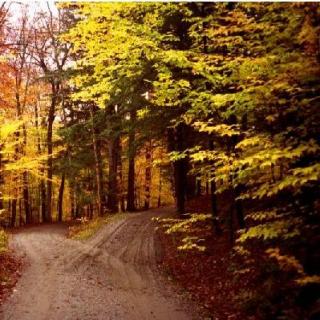 [桂柳话(巴马版)] 念外国名诗《未选择的路》【