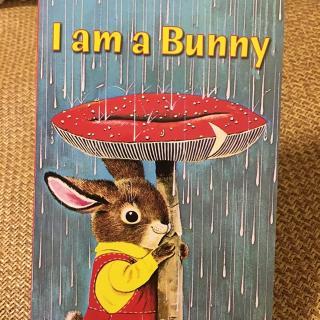 I am a bunny