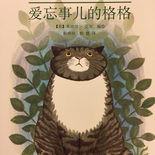 小猫格格-爱忘事儿的格格