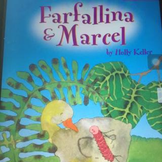 Farfallina & Marcel