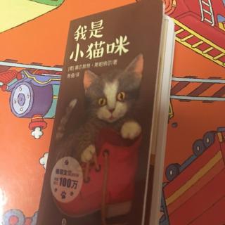 我是小猫咪～