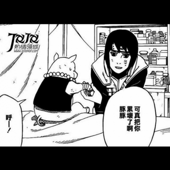 一只特立独行的猪--王小波(2016.8.12)